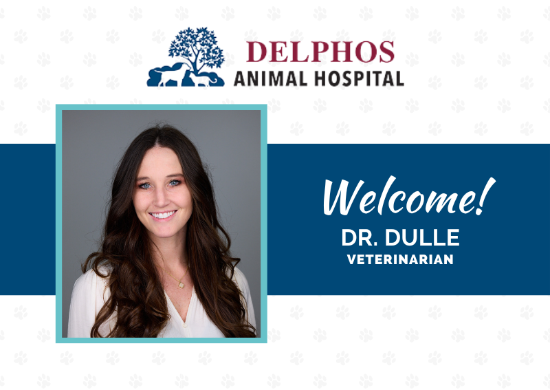 Carousel Slide 1: Learn more about Dr. Dulle