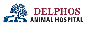 Link to Homepage of Delphos Animal Hospital