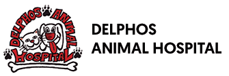 Delphos Animal Hospital
