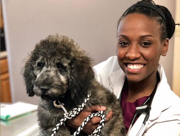 Preventive Care for Dogs